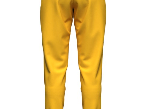 Womens Cargo Pant Modelo 3D
