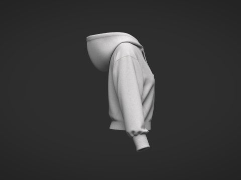 Female Short Hoodie Modelo 3D