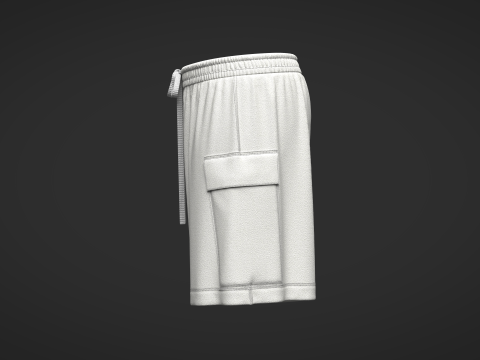 Women Shorts Pant Modelo 3D
