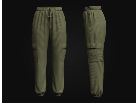 Womens Corduroy Pant 3D Model