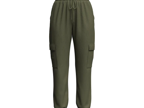Womens Corduroy Pant 3D Model