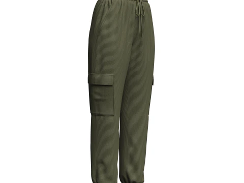 Womens Corduroy Pant 3D Model