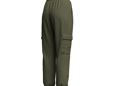 Womens Corduroy Pant 3Dモデル