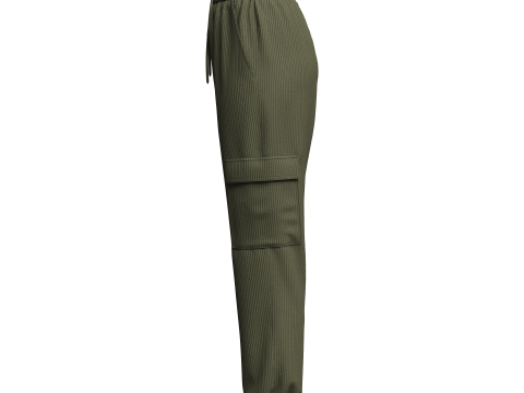 Womens Corduroy Pant 3Dモデル