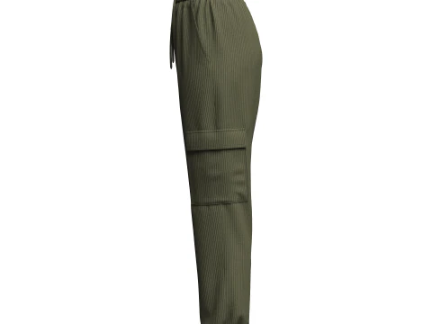 Womens Corduroy Pant 3D Model