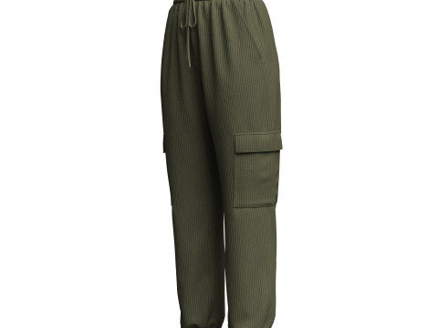 Womens Corduroy Pant 3Dモデル
