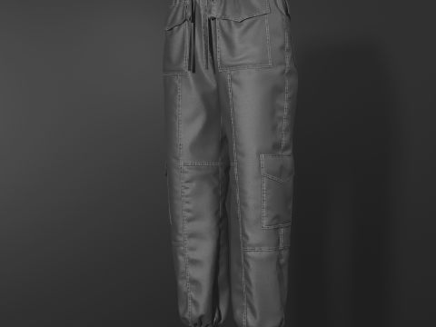 Womens Nylon Pant 3Dモデル