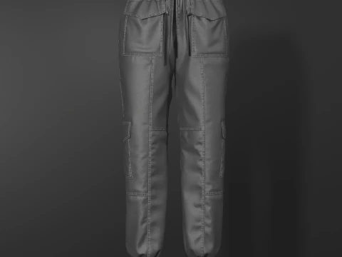 Womens Nylon Pant 3D Model