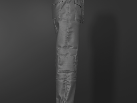 Womens Nylon Pant 3Dモデル