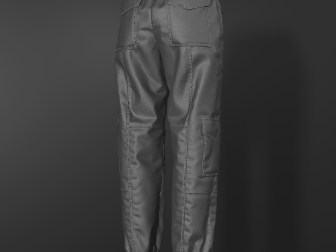 Womens Nylon Pant 3Dモデル
