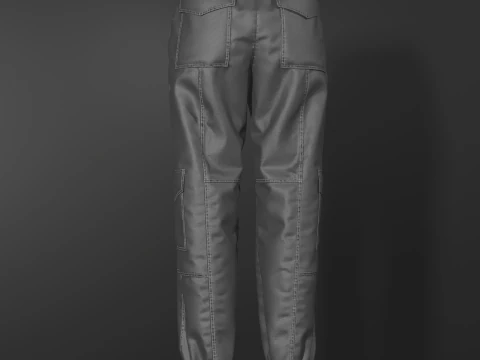 Womens Nylon Pant 3D Model
