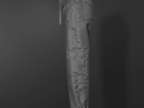 Womens Nylon Pant 3Dモデル