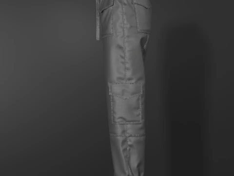 Womens Nylon Pant 3D Model