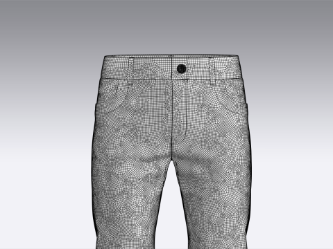 Mens Denim Pant 3D Model