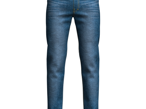 Mens Denim Pant 3D Model