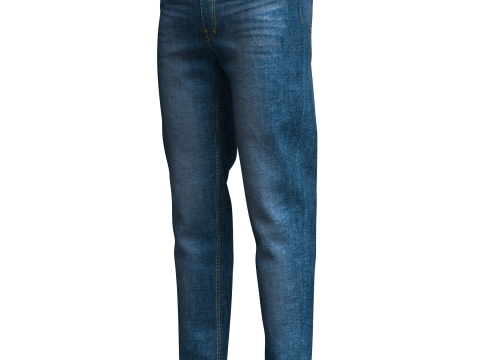 Mens Denim Pant 3D Model