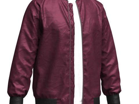Mens Winter Outfit Bomber Jacket Sweatshirt Jeans 3D Model