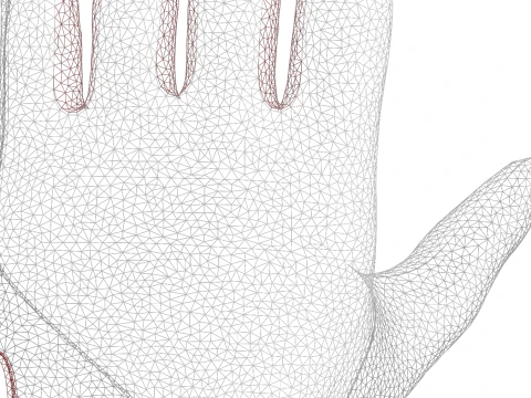 Honkbal slaghandschoenen 3D Model