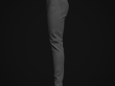 Mens Black Denim Pant Model 3D