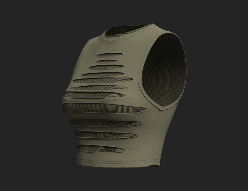 Womens Ripped Crop Top Model 3D .c4d .max .obj .3ds .fbx .stl .blend