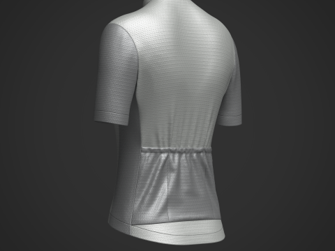 Women Half Sleeve Cycling Jersey 3D Модель