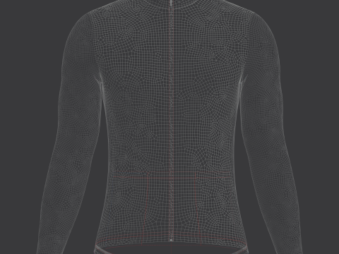 Mens Full Sleeve Cycling Jersey 3D Модель