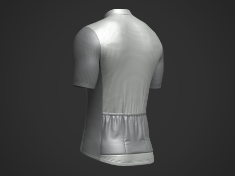Mens Half Sleeve Cycling Jersey 3D Model