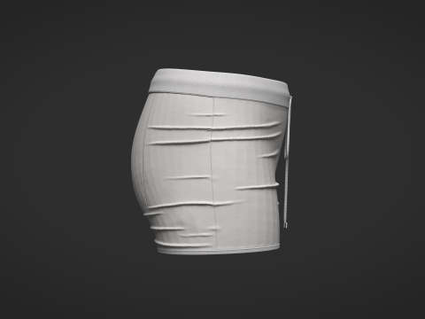Female Shorts 3D Model
