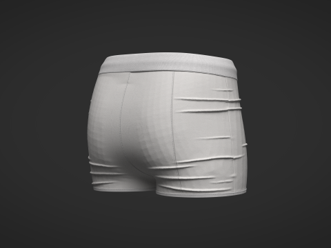 Female Shorts 3D Model
