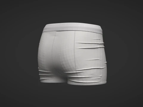 Female Shorts 3D Model