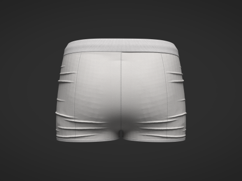 Female Shorts 3D Model