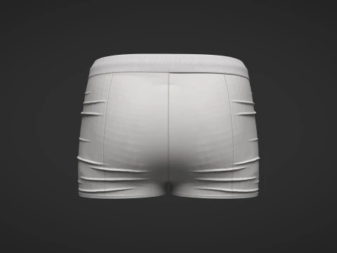 Female Shorts 3D Model