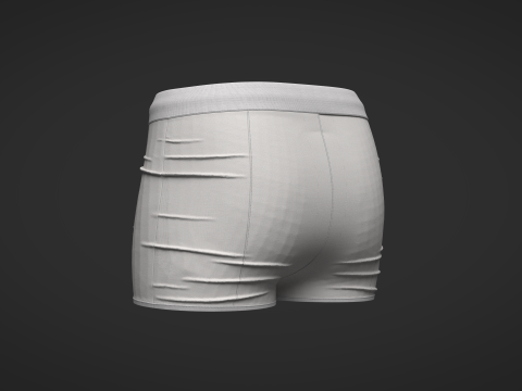 Female Shorts 3D Model