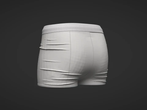 Female Shorts 3D Model