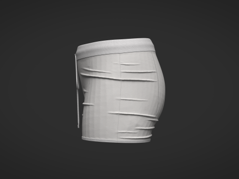 Female Shorts 3D Model