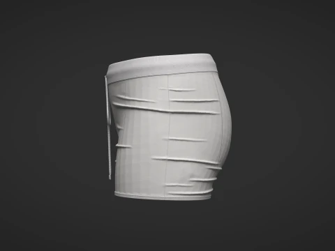 Female Shorts 3D Model