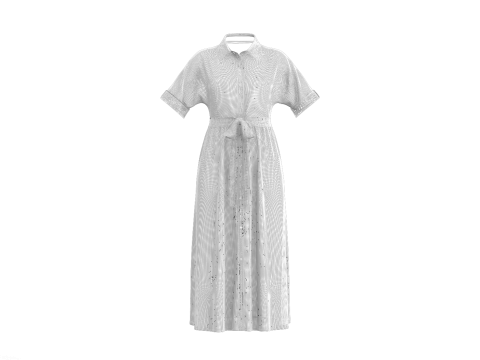 Female Midi Shirt Dress Modelo 3D