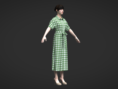 Female Midi Shirt Dress Modelo 3D