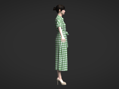 Female Midi Shirt Dress Modelo 3D