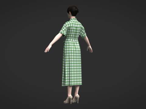 Female Midi Shirt Dress Modelo 3D