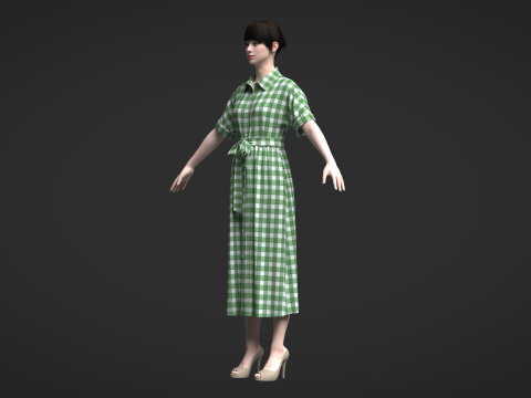 Female Midi Shirt Dress Modelo 3D