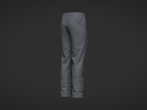 Male Motorcycle Pant Model 3D