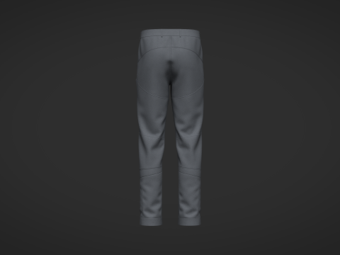 Male Motorcycle Pant Model 3D