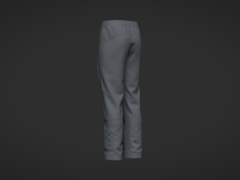 Male Motorcycle Pant Model 3D