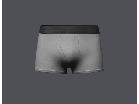 Mens Boxer Brief With Pouch Modelo 3D
