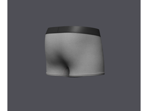 Mens Boxer Brief With Pouch 3D-Modell