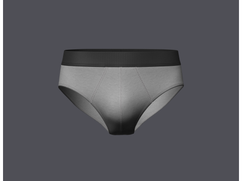 Mens Brief 3D Model