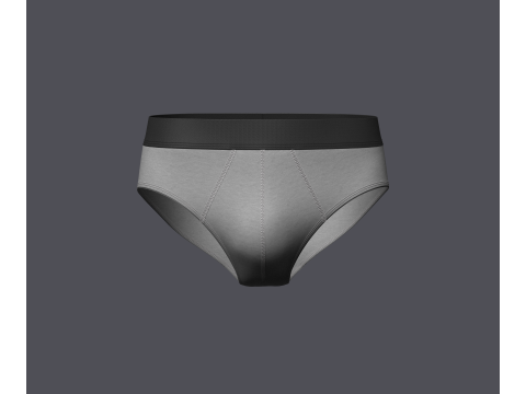 Mens Brief Model 3D