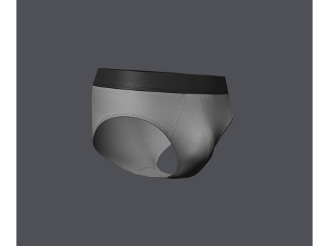 Mens Brief Model 3D