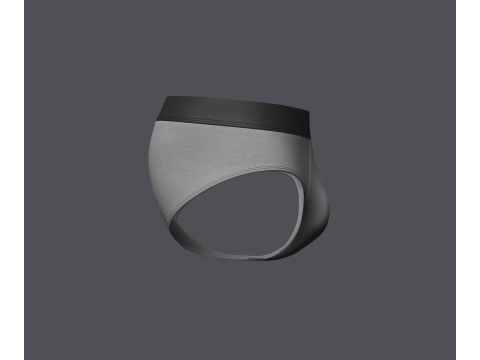 Mens Brief Model 3D